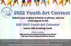 Debbie's Dream Foundation: Curing Stomach Cancer Announces 2022 Youth Art Contest
