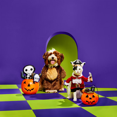 Petco Unveils Annual "Bootique" Collection with Expanded Halloween Offerings, New Night Safety Gear from Reddy