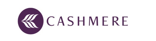 CASHMERE ROUNDS OUT LEADERSHIP TEAM WITH NEW HIRES AND PROMOTIONS - Vimarsana News