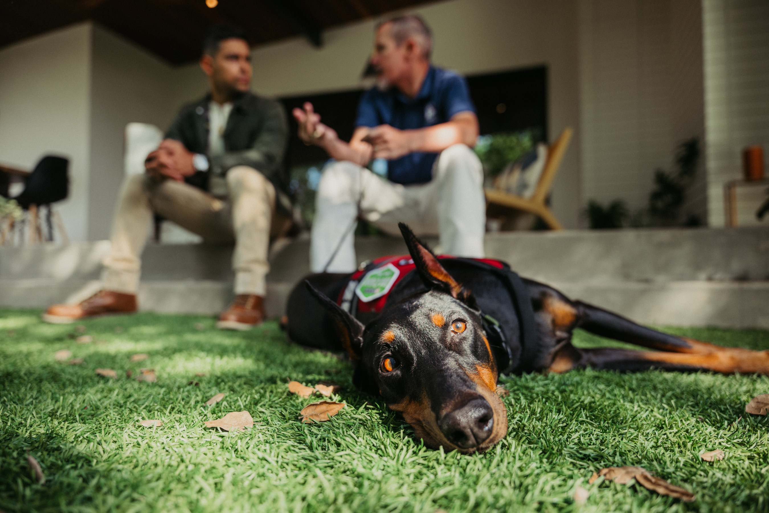 Unable to view the image, Please provide a valid URL.