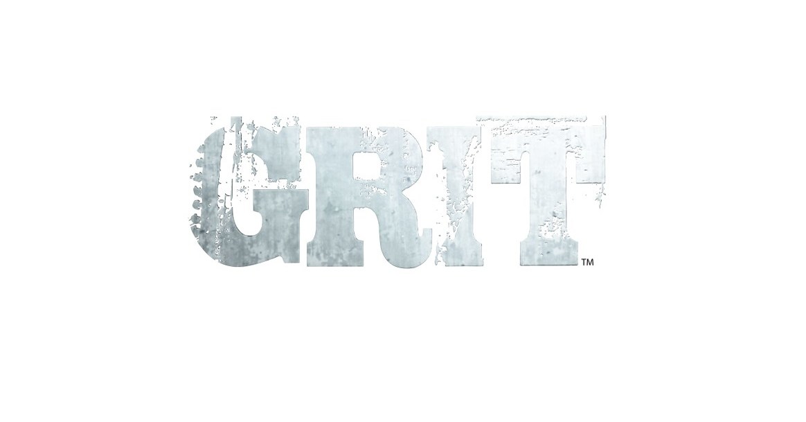 the link between grit and success  empirical evidence