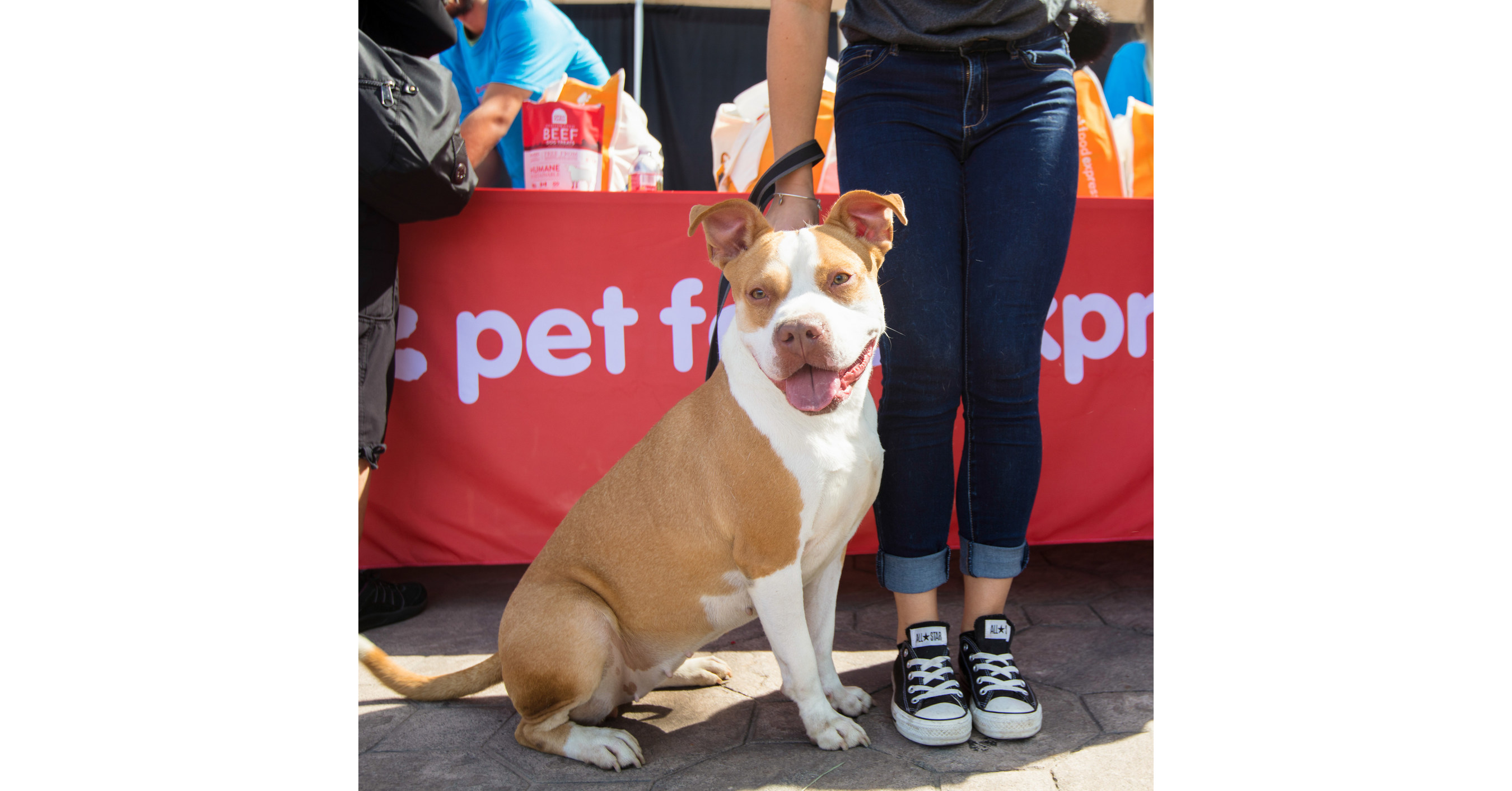 PET FOOD EXPRESS HOSTS MONTH-LONG VIRTUAL PET FAIR PLUS SPECIAL PET ADOPTION EXTRAVAGANZA EVENTS IN ALL STORES SEPTEMBER 24 & 25