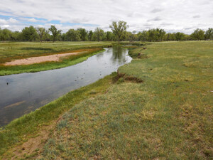 WETLAND IMPROVEMENTS COMING TO THE SOUTH PLATTE RIVER