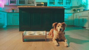 Innovative Dog Product Company Wins European Product Design Award For Their New, Attractive and Mess-Free Dog Bowls