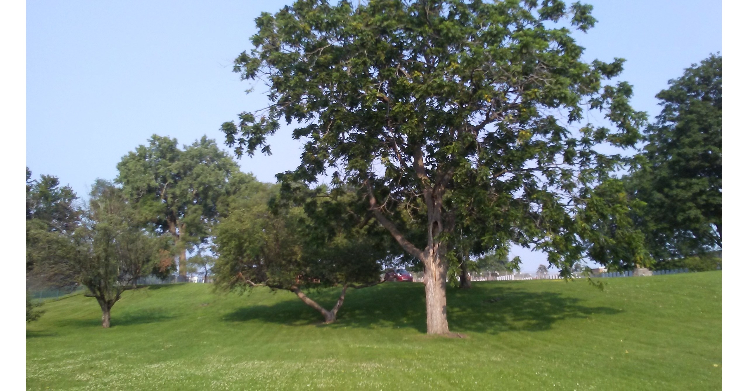 L'Arrondissement de Lachine invite la population à s'exprimer sur l