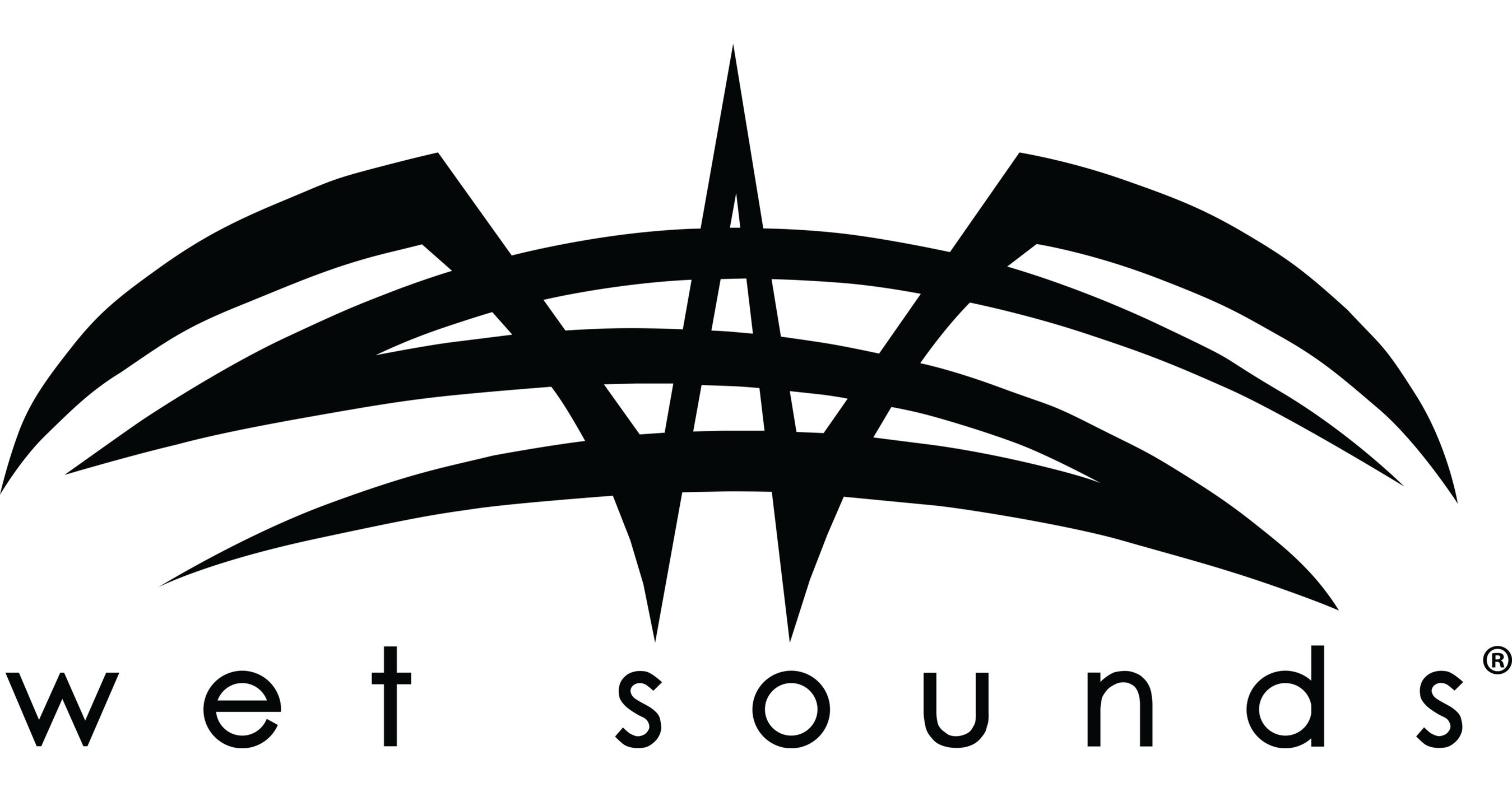 Ws. WS логотип. Sound logo. CWSA лого. Wet Sounds.