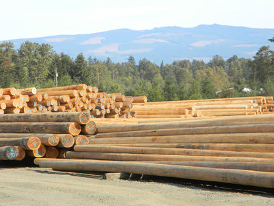Wood Pilings - Bell Lumber