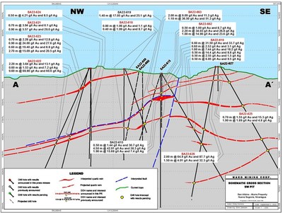 Figure 2. Schematic Cross Section (CNW Group/Mako Mining Corp.)