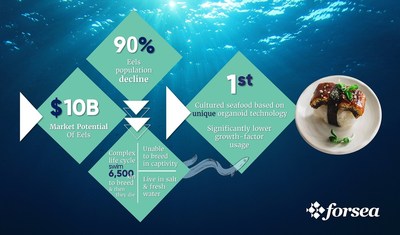 Forsea Foods to focus on relieving bottleneck in seafood supply, starting with eel meat