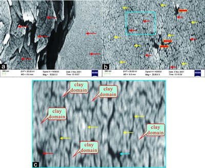 Nanopores and nanofissures in the clay layers of Gulong shale.