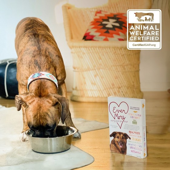 Evermore Pet Food Earns Farm Animal Welfare Certification from Global Animal Partnership (G.A.P.) - Vimarsana News