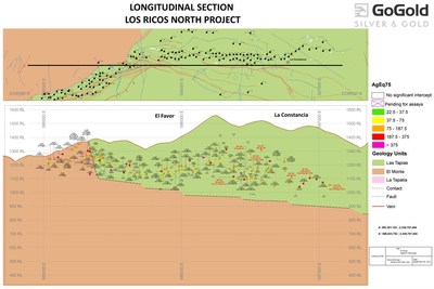 Figure 3: Favor Long Section (CNW Group/GoGold Resources Inc.)