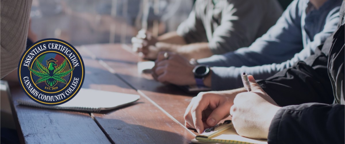 Cannabis Community College Announces a New Online Education Platform - Vimarsana News