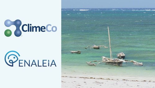 ClimeCo and Enaleia are collecting plastic on land and in the ocean to reduce pollution and improve marine biodiversity conservation.