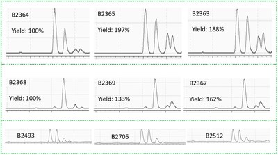 Figure 1. The Representative HPLC-ELSD Profiles of the High-Yield Rhamnolipids