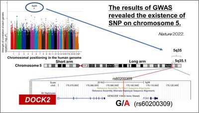 SNP related to COVID-19 severity was found on chromosome 5 using GWAS. ©︎ Japan COVID-19 Task Force