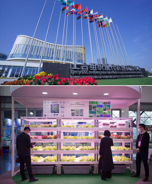 El Centro de intercambio y exposición agrícola moderna de la OCS de la Feria de alta tecnología agrícola de Yangling en China (PRNewsfoto/The Organizing Committee of China Yangling Agricultural Hi-Tech Fair)