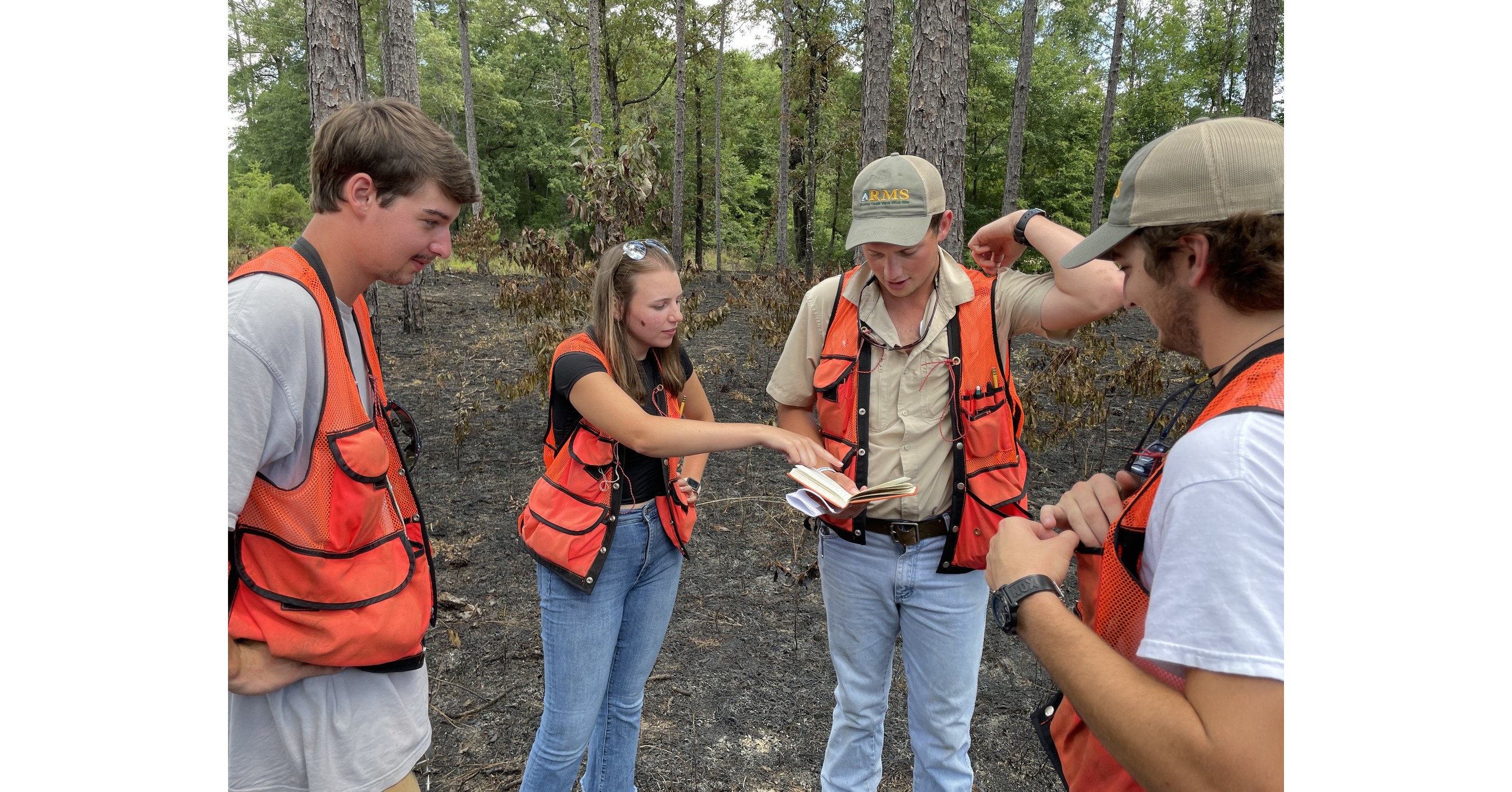 auburn-university-s-summer-practicum-a-keystone-of-forestry-wildlife