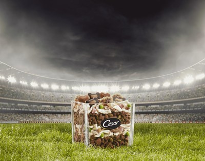 The CESAR® brand created a pup-perfect menu of game day foods, including the CESAR 7-Layer.