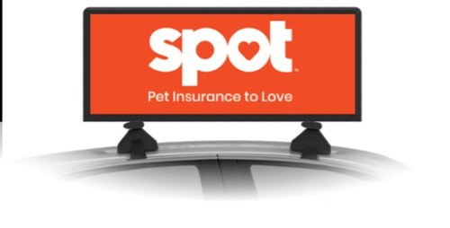 Spot Pet Insurance car-top advertising units