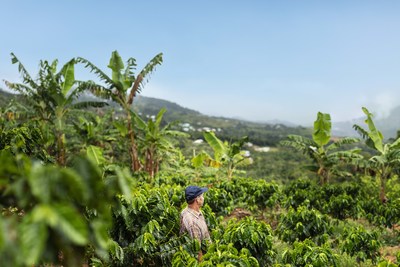 Five years after hurricanes Irma and Mara, Nespresso and TechnoServe announce that Puerto Rico's coffee harvest is expected to return to pre-hurricane levels.