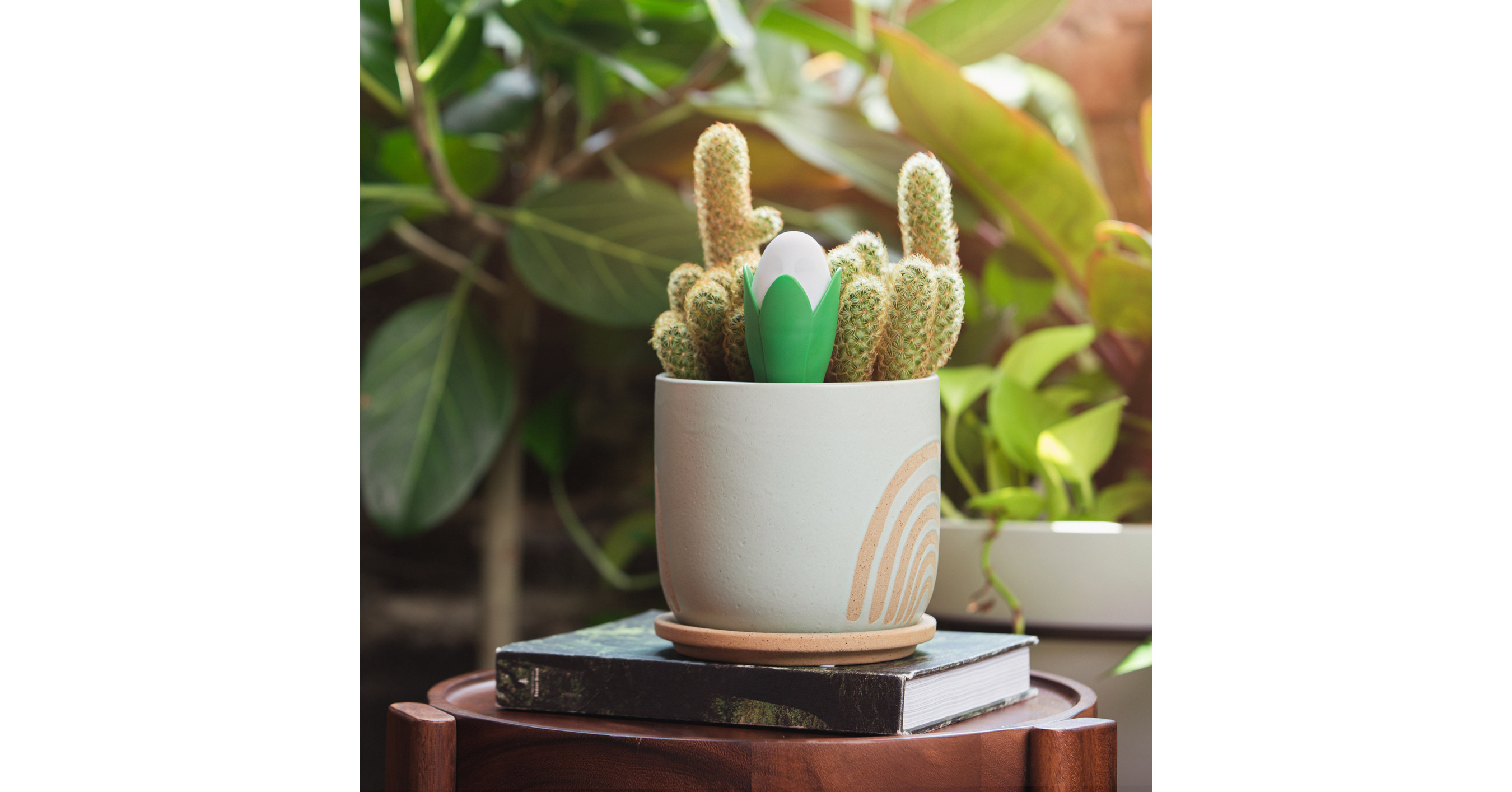 Flora Launches $10,000 Kickstarter Campaign Goal For AI-Driven Plant Sensors - Vimarsana News