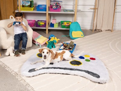Paw Kids Game Controller Memory Foam Dog Bed & Play Mat