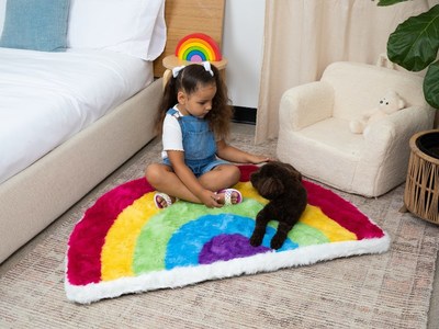 Paw Kids Rainbow Memory Foam Dog Bed & Play Mat from Paw.com
