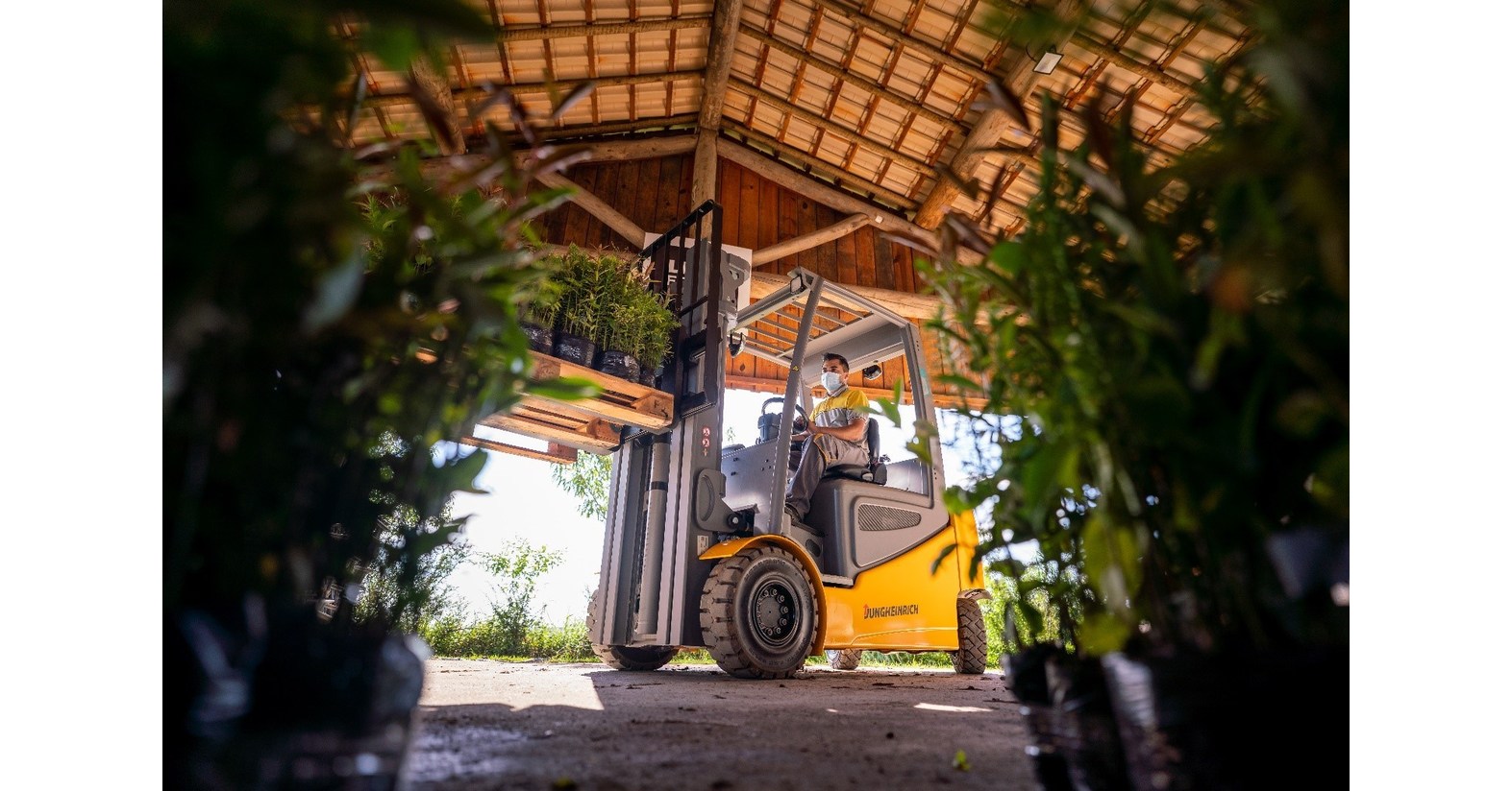 Empresa alem&atilde; investe em meio ambiente para o reflorestamento da Mata Atl&acirc;ntica em a&ccedil;&atilde;o sustent&aacute;vel in&eacute;dita