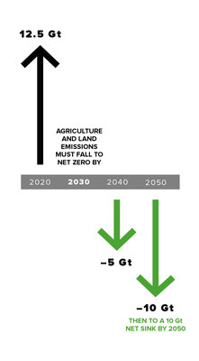 The Carbon Law for Nature – the first key innovation in the Roadmap – shows that we must rapidly transition global land use, moving from 12.5 Gt of greenhouse gas emissions from land each year, to net zero by 2030, a 5 Gt sink by 2040 and a 10 Gt sink by 2050.