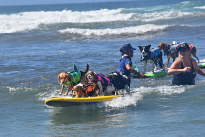 In addition to the joy and amazing athleticism of the event, Helen Woodward Animal Center’s Surf Dog Surf-a-Thon is especially unique because 100 percent of the proceeds supports Helen Woodward Animal Center’s orphan pets and programs.