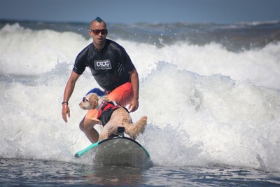 Helen Woodward Animal Center’s 17th Annual Surf Dog Surf-a-Thon