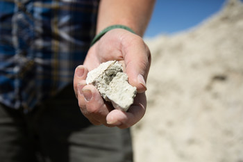 Lithium Bearing Claystone from Cypress Development's Clayton Valley Lithium Project in Nevada (CNW Group/Cypress Development Corp.)