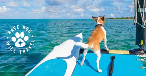 Aruba Invitations Pet Dad and mom and their Canines to Expertise The Aruba Impact with ‘Have Canine, Will Journey’