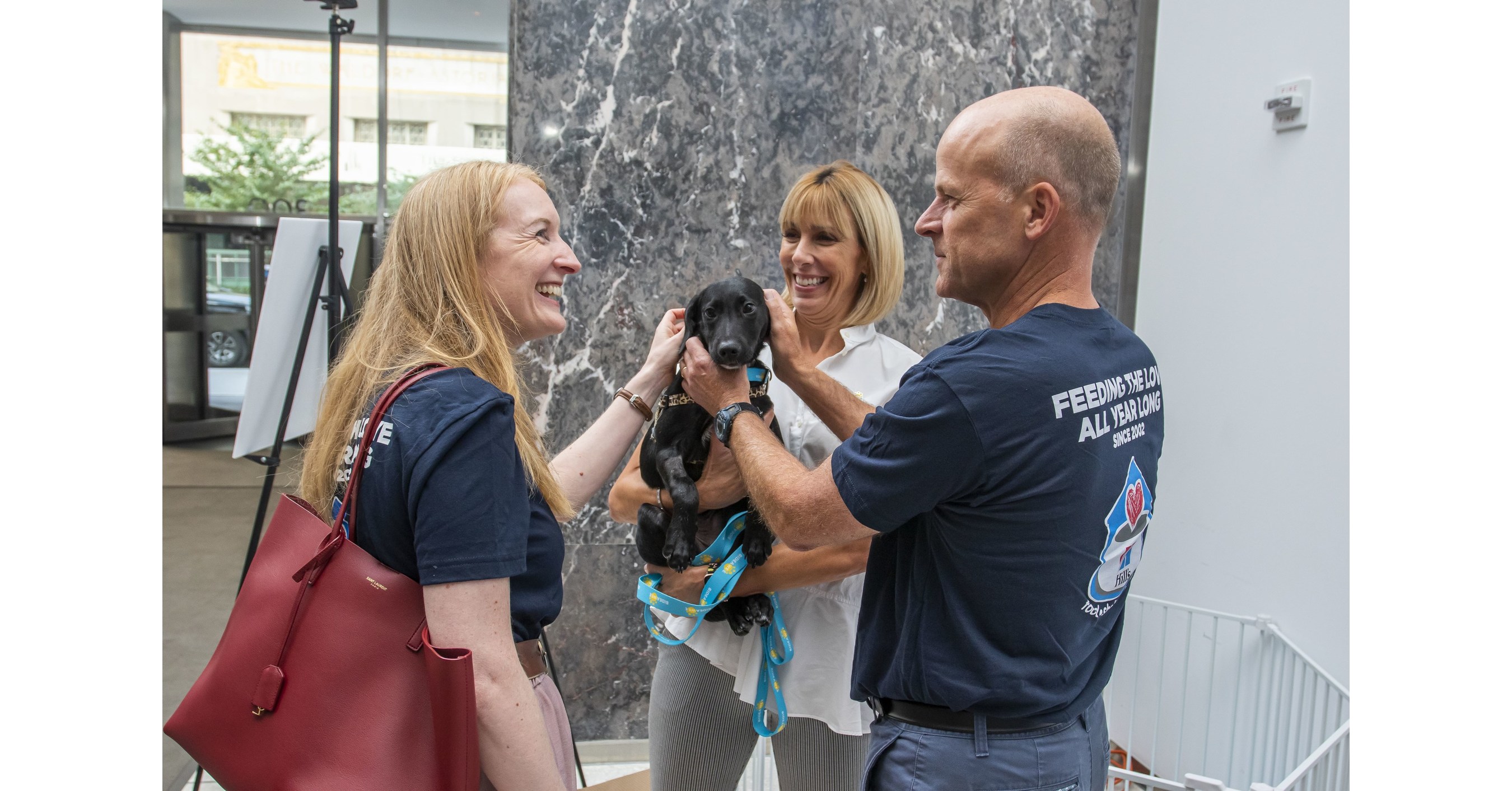 Hill’s Pet Nutrition Announces Record Adoption Year for NBCUniversal Local’s Clear The Shelters Campaign; More Than 161,500 Pets, and Counting, Found Their