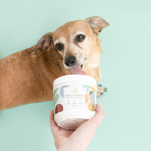 Opal Pets Promotes Fresh, Plant-Based Nutrition for Dogs