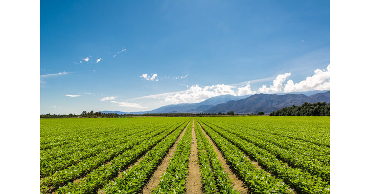 Growth of Sustainable Farming Practices Drives the Agricultural Biologicals Market