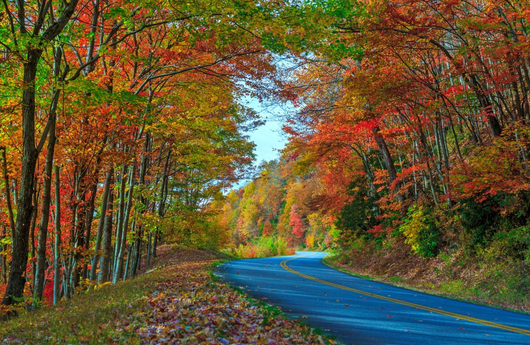 What's New in Fall 2022 in Asheville, NC