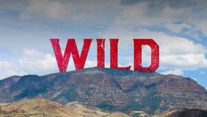 Park County Travel Council Unveils New "Wild" Marketing Campaign for Cody Yellowstone