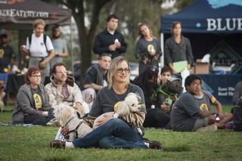Candle-lighting ceremonies and a global avalanche of social media buzz will shine a light on the millions of orphan animals still awaiting adoption and encourage communities to opt to adopt and reduce the over one million homeless pets euthanized each year.