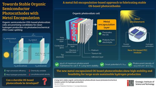 In a new study, GIST scientists have developed a highly efficient and long-term stable organic semiconductor-based photocathode. This photocathode can be used to generate sustainable hydrogen via water splitting by sunlight by encapsulating it in a platinum-decorated titanium foil.