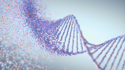 Cold Spring Harbor Laboratory Professor Adam Siepel has created a computer program called ExtRaINSIGHT that tracks the history of harmful mutations throughout the evolution of the human genome. He’s discovered regions of the genome that are more vulnerable to mutations than others, and that may be the origins of severe genetic diseases. Image: © ktsdesign – stock.adobe.com Cold Spring Harbor Laboratory Professor Adam Siepel has created a computer program called ExtRaINSIGHT that tracks the history of harmful mutations throughout the evolution of the human genome. He’s discovered regions of the genome that are more vulnerable to mutations than others, and that may be the origins of severe genetic diseases. Image: © ktsdesign – stock.adobe.com