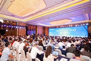 Xinhua Silk Road: Experten prognostizieren kommenden Aufschwung für Chinas NEV-Industrie
