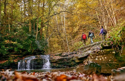 Glade Creek Trail WV