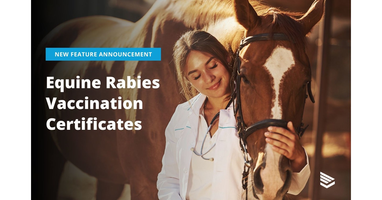 rabies vaccine certificate