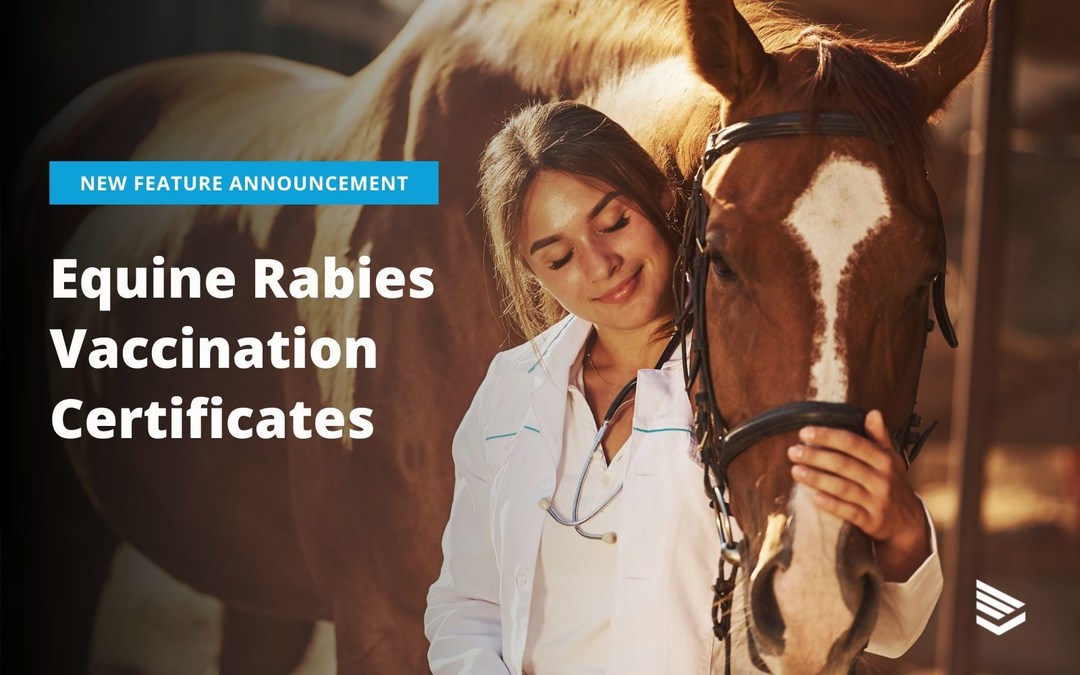GlobalVetLink Announces Addition of Equine Rabies Vaccination Certificates on World Rabies Day - Vimarsana News