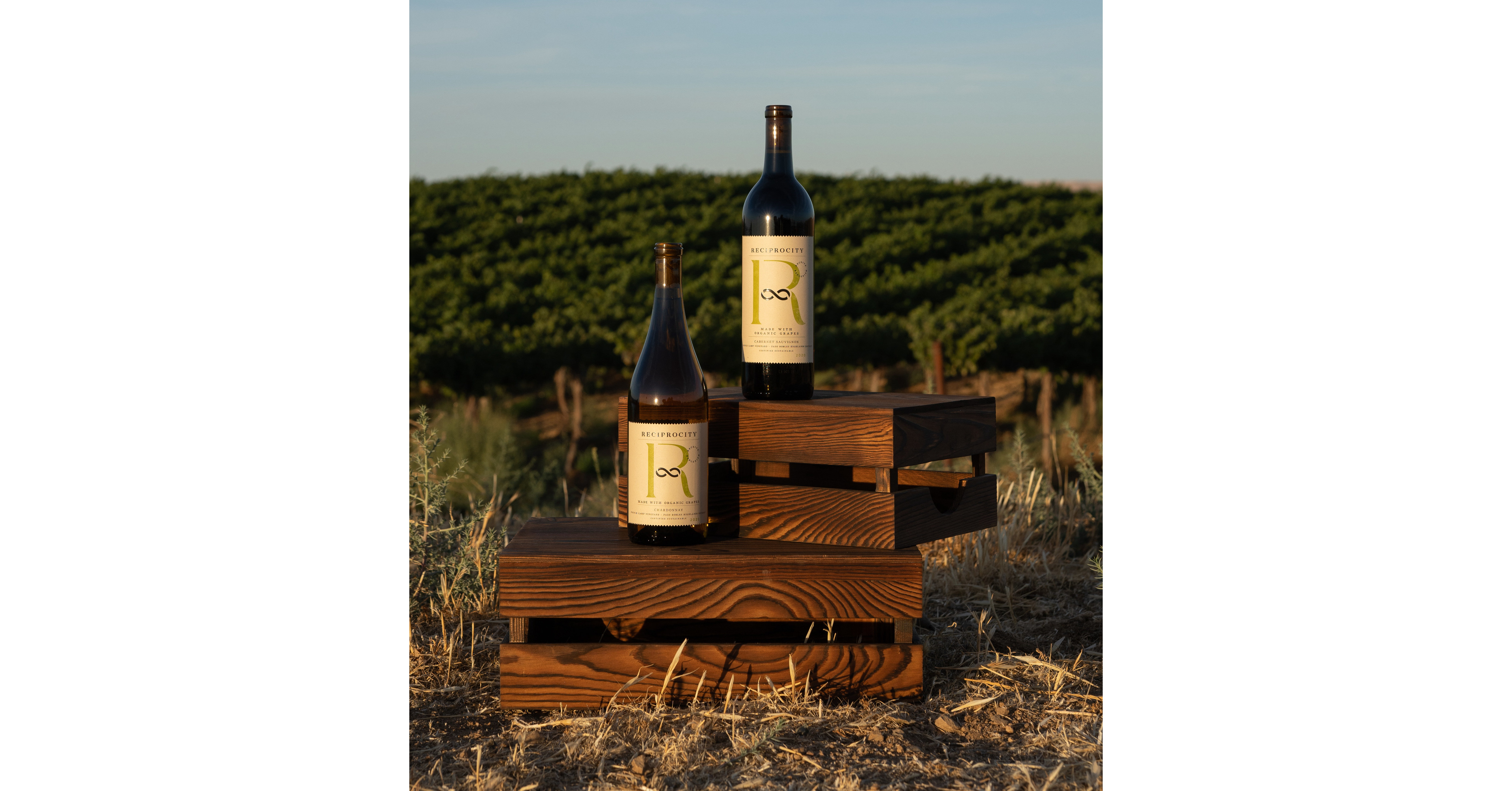 Miller Family Wine Co. Launches Organic, Sustainable Wine Brand