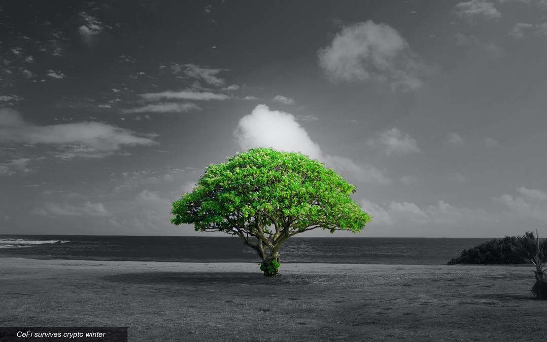 GROW Positions Itself as a Top CeFi Platform for Bitcoin - Vimarsana News