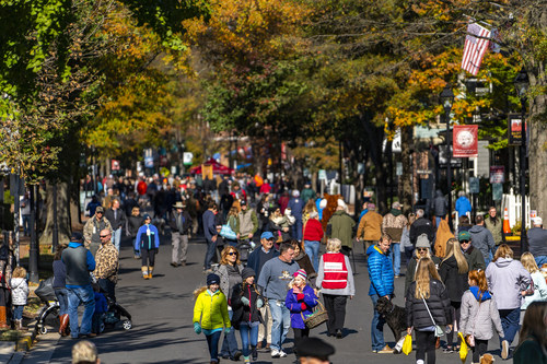 Waterfowl Festival in beautiful downtown Easton, MD.