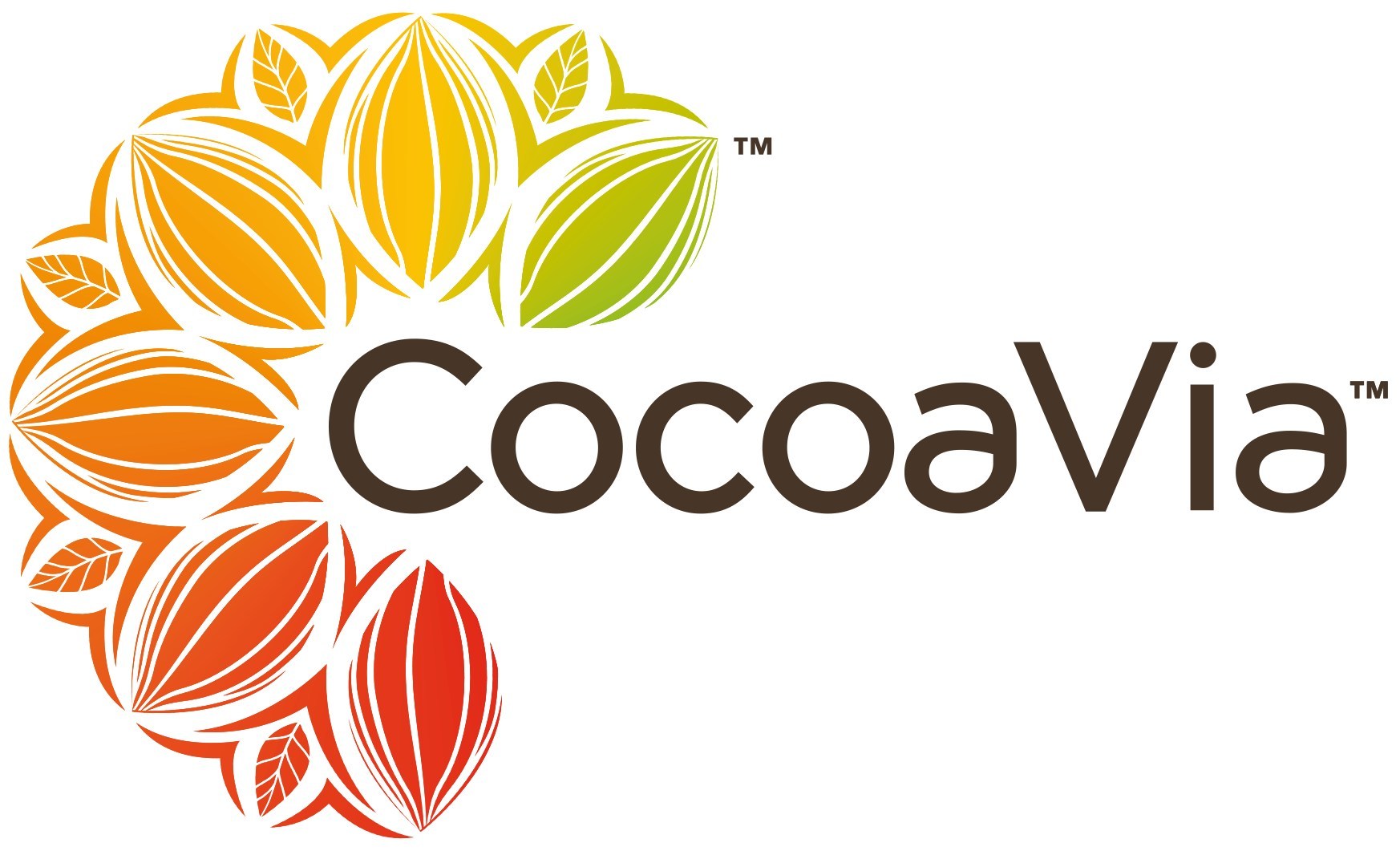 Names CocoaVia™ Memory+ As Its Overall Top Pick for